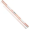Image de DAIWA Shorecast Surf-X, 4,20m, 14 Pieds, 100-225g, 3 Pièces, 33-423H, Scion Hybride, Canne à Pêche Surfcasting