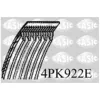 Image de SASIC 4PK922E Courroie Poly-V