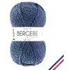 Image de BERGÈRE DE FRANCE - Pelote ALASKA 100 - Fil Laine à tricoter, 50% de laine peignée   Gros fil rond infeutrable 6 mm - Fabrication française - Couleur gris, PIERRE