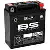 Image de Batterie BS Battery SLA BB5L-B 12V - 5,3Ah