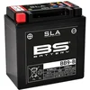 Image de Batterie BS Battery SLA BB9-B 12V - 9,5Ah