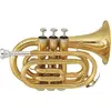 Image de TP50 - Sib Vernie