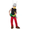 Image de Chaks - CS805301/128 - Déguisement - Costume Licence Astérix 9 Pièces, 128 cm