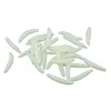 Image de 40 Asticots blancs 3 cm - Blanc - Taille Unique