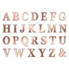 Image de 48 Stickers lettres adhésives rose gold 13,5 cm - Rose - Taille Unique