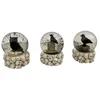 Image de Chaks - Boule À Neige Oiseaux TÊTE Mort 7X9CM - Décoration spécial Halloween - Thème(s) : Citrouille Chic
