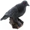 Image de Chaks 13079, Statue Corbeau Noir en polyrésine 17cm