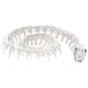 Image de Chaks - Squelette DE Serpent 20CM