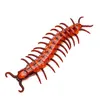 Image de Chaks - SCOLOPENDRE ARTICULÉ 45CM Rouge - Décoration spécial Halloween - Thème(s) : Cimetière désenchanté