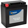 Image de TECNIUM Batterie sans entretien activé usine - BTX14