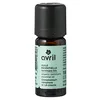 Image de Avril - Huile Essentielle de Ravintsara Bio - 100% Pure et Naturelle - Complément Alimentaire - Certifié Bio Ecocert - Conditionné en France - Flacon en Verre 10ml