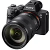 Image de SONY Alpha 7 III + FE 24-105