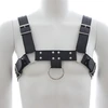 Image de Generique Harnais SM Upper Body Chest