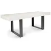 Image de IDMarket - Table à Manger Extensible Rectangle Phoenix 4-8 Personnes Bois Gris 160-200 cm