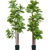 Image de HOMCOM Lot de 2 Plantes artificielles intérieures 180 cm, Fausse Plante à figuier Lyre avec Pot en Ciment, 120 Feuilles réalistes, Arbre Artificiel Vert décoration pour Maison, Bureau, Salon, Chambre
