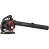 Image de GT Garden Souffleur - aspirateur - broyeur Thermique, 26 cm3, 225 km/h