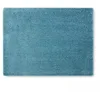 Image de Oviala Tapis rectangulaire en polypropylène 200x290 cm Bleu