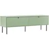Image de Oviala Meuble TV 2 Portes en Acier et MDF décor mélaminé 150 cm Vert Sauge
