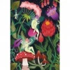 Image de Hachette Le jardin des fées
