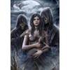 Image de Grafika Spirit of the Night