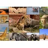 Image de Puzzle 1500 pièces - Collage - Wildlife