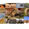 Image de Grafika Collage - Wildlife