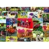Image de Grafika Collage - Vélos