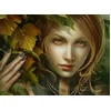 Image de Puzzle 2000 pièces - The Leaf Say