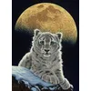 Image de Puzzle 2000 pièces - Schim Schimmel - Moon Leopard