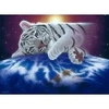 Image de Grafika Schim Schimmel - Cuddle Time