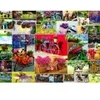 Image de Grafika Collage - Vélos