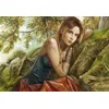 Image de Puzzle 1000 pièces - The Storyteller