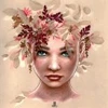 Image de Grafika Misstigri - Regard Emeraude