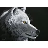 Image de Puzzle 1000 pièces - Schim Schimmel - Wolf Light