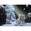 Image de Puzzle 1000 pièces - Schim Schimmel - Ice House