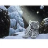 Image de Grafika Schim Schimmel - Ice House