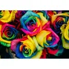 Image de Puzzle 1000 pièces - Roses Multicolores