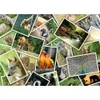 Image de Grafika Promenade au Zoo