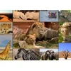 Image de Grafika Collage - Wildlife