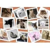 Image de Grafika Chats