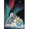 Image de Grafika Schim Schimmel - Earth Lights