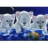 Image de Grafika Puzzle 1500 pièces - Schim Schimmel - Secret, Mystery and Hope