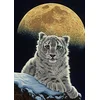 Image de Grafika Puzzle 1500 pièces - Schim Schimmel - Moon Leopard
