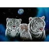 Image de Grafika Schim Schimmel - Gentle Family