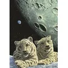 Image de Grafika Puzzle 2000 pièces - Schim Schimmel - Lair of The Snow Leopard