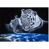 Image de Grafika Puzzle 1500 pièces - Schim Schimmel - Sleep Tight