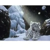 Image de Grafika Schim Schimmel - Ice House