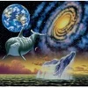 Image de Grafika Schim Schimmel - Cosmic Seas