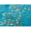 Image de Bluebird Puzzle Vincent Van Gogh - Almond Blossom, 1890