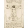Image de Bluebird Puzzle Leonard De Vinci - The Vitruvian Man, 1490